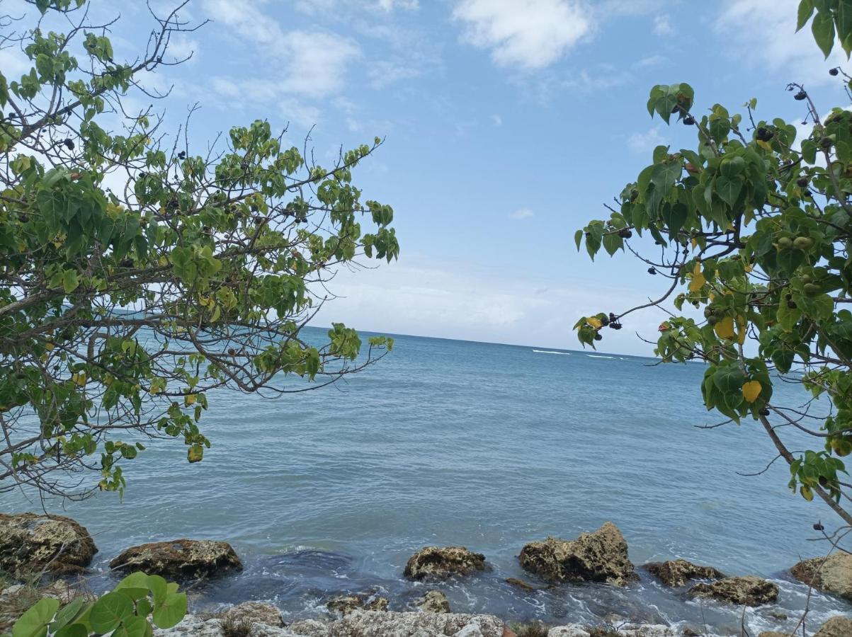 Kaz'Detente, Marie Galante, Plage Kawann Grand-Bourg  Экстерьер фото